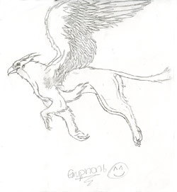 Gryphon