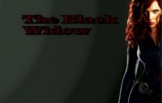 Black Widow Banner.jpg