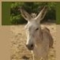 Puzzle_the_Donkey