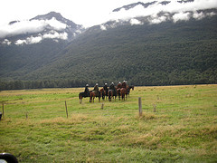Set in New Zealand