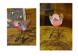 Robin